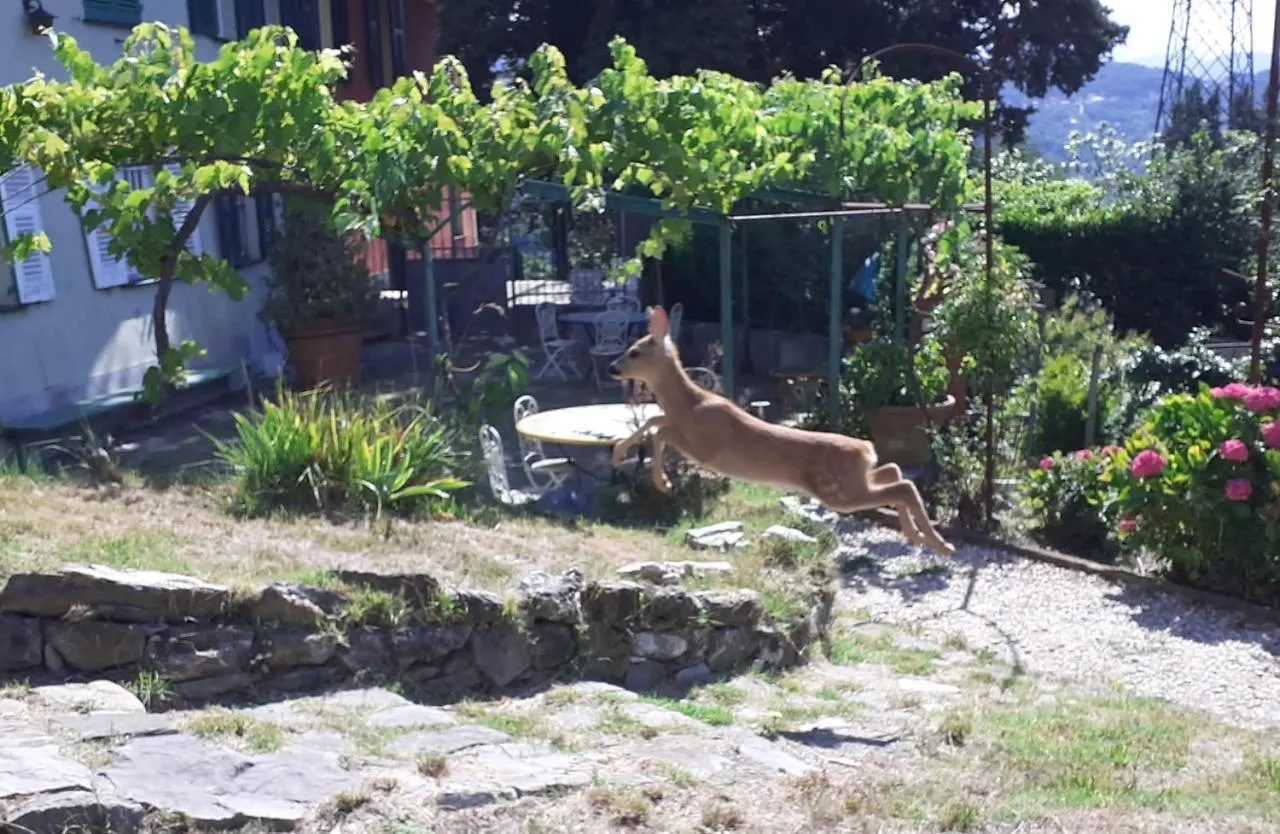 Apartment Villa Ponzio Genua